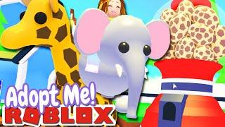 SAFARI PETS UPDATE! | Adopt Me Roblox NEW HERE