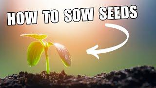 How to sow seeds and grow your own food.