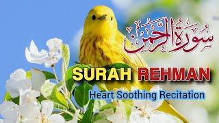 Surah Ar-Rehman Full || Ep - 00254 || Qari Rizwan || سورہ رحمٰن55 || Relaxing Recitation