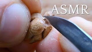 Carving a Wooden Turtle Pendant - ASMR Wood Carving