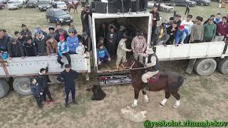 Сарқұлов Даурен мырзаның елден бата алу той көкпары Жамбыл облысы Тараз қаласы 11.03.2023жыл