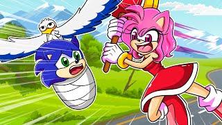 Baby Sonic Got Lost - Please Come Back Home - Sonic Animation