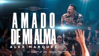 Alex Márquez - Amado De Mi Alma (Video Oficial)