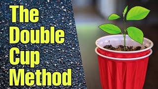 The Double Cup Method to Start Seeds