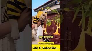 Modern Honey Bee... || hindi funny shorts #shorts #ytshorts #ytshortsindia