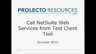 NetSuite Web Services API Call Prolecto