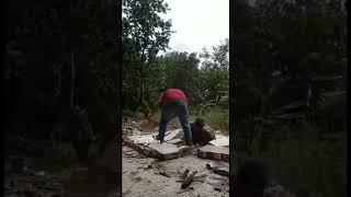 The end #fails #short #funny #fail2023 #viral Activfun