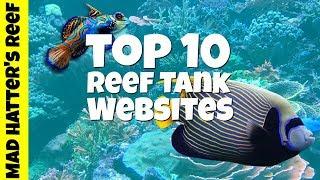 Top 10 Reef Tank Websites