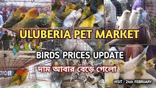 ULUBERIA PET MARKET BIRD'S PRICES UPDATE ON 24 th FEBRUARY. #cheapestprice #uluberia_pet_market