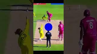 Biggest Sixes  2019 Cricket World Cup / Biggest Sixes So Far  ICC Cricket World Cup. #viralvideo