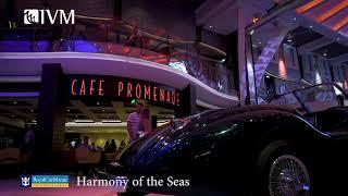 IVM | Harmony of the seas