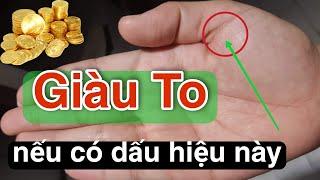 Giàu To Nếu Sở Hữu Chỉ Tay Này. Không Phát Tài Thì Cũng Phú Quý Cả Đời (0343 631 729)