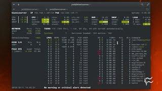 Monitor your Linux server with Glances