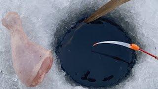 БОЛОТНЫЕ МОНСТРЫ в ЭТОЙ ЛУНКЕ...Крупняк и МЯСО первого льда!   Зимняя рыбалка 2023