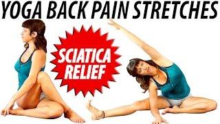 How to Yoga Back Pain Relief Stretches and Exercises, Beginners Low Back Pain & Sciatica