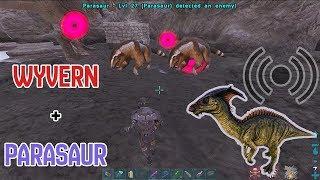 Wyvern + Parasaur? -  ARK: Official Small Tribes