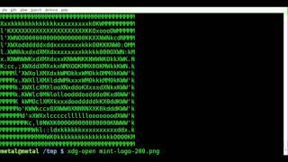 JPEG to ASCII ART - jp2a - BASH - Linux