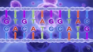 What is Genomic Sequencing?