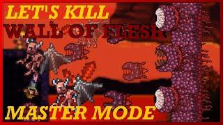 How to EASILY Beat MASTER MODE Wall of Flesh in Terraria 1.4!!
