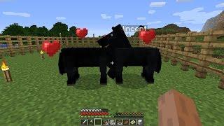 Minecraft - Baby Horse!