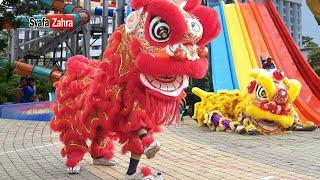 Barongsai 2020 main di Kolam Renang Atlantis Ancol - Lion Dance cny 2023