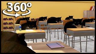 360° SCHOOL EXAM With Maxwell The Cats in VR/4K