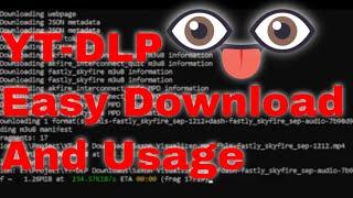 How to easily download and use YT-DLP | Check Description! [NEW VERSION AVAILABLE]