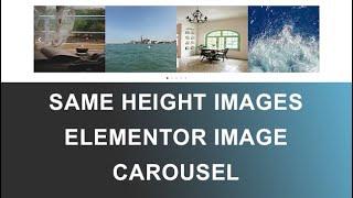 How to make image height same in elementor image carousel | Wordpress 2023