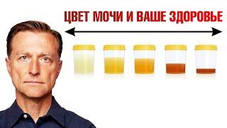 О чем говорит цвет мочи? Цвет мочи как индикатор здоровья