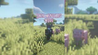 Minecraft'ın EN Şirin Modu #shorts