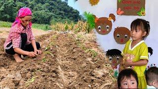 Bông study hard while mom clears weeds and plants sweet potatoes for livestock