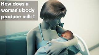 How does a woman's body produce milk?