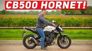 2024 Honda CB500 Hornet | First Ride Review!