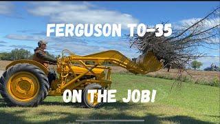 Around the farm with JT: Corn is drying fast, and a job for the TO-35