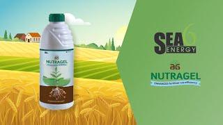 AG NUTRAGEL - Gel Biostimulant for Fertilizer Coating