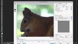 Quick Tip: Use the New Timeline in Photoshop CS6 to Create an Animated GIF from a Video