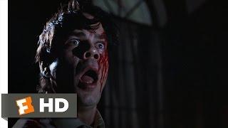Tales from the Darkside (6/10) Movie CLIP - Cat's Got Your Tongue (1990) HD