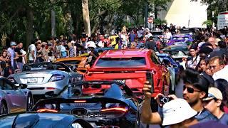 Supercar Saturdays Florida | Supercars, Amazing Cars, Exotic Cars, Car Show November 2024