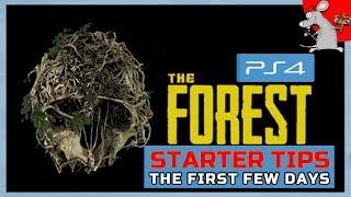 THE FOREST PS4 STARTER TIPS - How To Survive The First Few Days