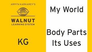 KG - My World - Body parts - Its uses