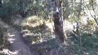 Video amatir Penampakan di gunung pagi hari