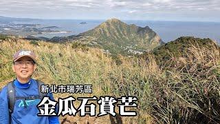 Jinguashi Silvergrass Appreciation - Circular hiking along Caoshan Road, Unrivaled Seaview Trail...