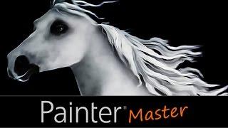 Meet 2015 Painter Master Aaron Rutten