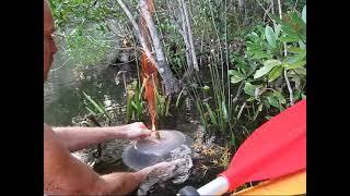 science experiment burning methane swamp gas