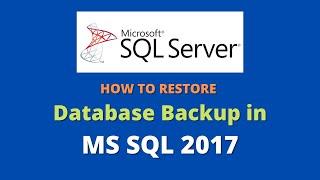 How to restore MS SQL database backup