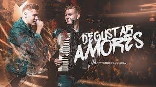 GUSTAVO TOLEDO E GABRIEL - DEGUSTAR AMORES [DVD GTG]