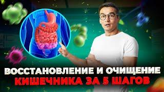 Как восстановить кишечник: 5 простых шагов для здоровья ЖКТ