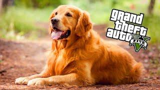 GTA 5 GERÇEK HAYAT !!! - Yeni Köpek Aldık !  #9