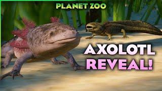 An Adorable Axolotl! | Planet Zoo Conservation DLC