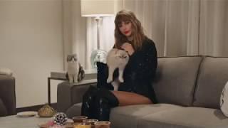 Taylor Swift Cat Commercial